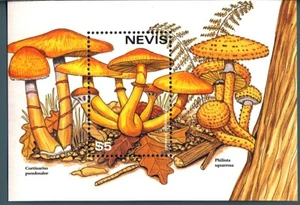 NEVIS - BF - 1997 - Flora. Pilze postfrisch ** - Bild 1 von 1