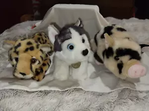 3 Miyoni By Aurora Leopard Husky Dog Pot Belly Pig Plush Stuffed Animal VGUC - Picture 1 of 12