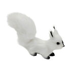Squirrel Model Realistic Decoration Simulation Animal Squirrel Toy Model Solid