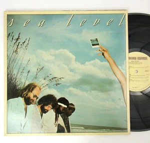 Sea Level Allman Brothers Gatefold LP Record Vinyl 12" Capricorn 1977 Near Mint - Picture 1 of 9