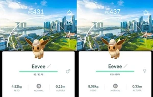 Pokémon Go Eevee Explorer Mütze (Singapur Hintergrund) Pokemon Trade Go - Bild 1 von 1