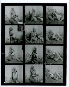 Hoja de fotos de contacto Vogel de la década de 1960 - chica pinup desnuda Betty Bursell - pastel de queso v500025 - Imagen 1 de 2