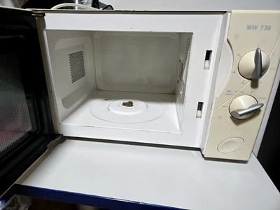 Mini-Backofen – gut erhalten, voll funktionsfähig – 15 € - Bild 1 von 2