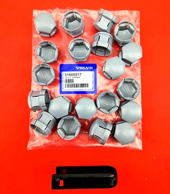 Juego de 20 tapones de rosca originales Volvo plateados XC40 XC60 XC90 V60 - 31660917 Foto 1 de 4