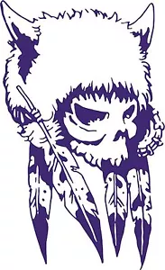 Native Indian Skull Feathers Headdress Car Truck Window Wall Vinyl Decal Sticker - Foto 1 di 2