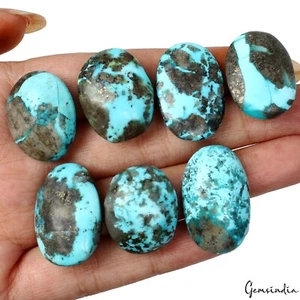 7 Perser Türkis Neyshabur Cabochon Lot nicht stabilisiert, %100 Natur 23-28mm - Bild 1 von 6
