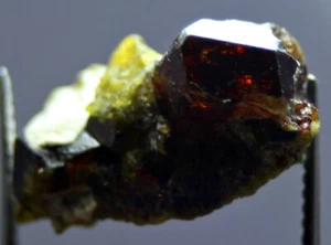 13.0 CT Rare Green Vesuvianite with Vivianite Crystals miniature Specimen  - Picture 1 of 10