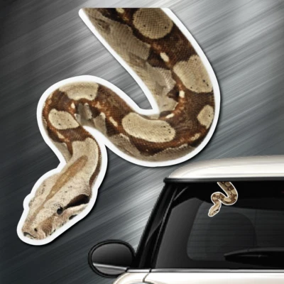 (1) Pegatina BOA Peeper Ventana Peep Calcomanía Coche Auto Pegatina Reptil Serpiente Herp.  Foto 1 de 4