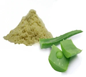Aloe Vera Leaf Powder Aloe Barbadensis Plant Natural Pure Herbs Powder 200gm  - Bild 1 von 1