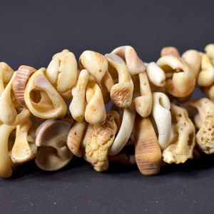 Old Mauritanian Shell Beads 30 Inch - Picture 1 of 13