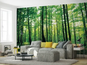 Photo wallpaper wall mural for home office nursery Green Forest Tree nature - Picture 1 of 13