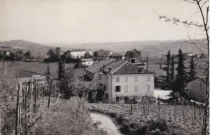 Alessandria - San Lorenzo di Vignale Monferrato - Cascine Manfioretto - fg vg - Foto 1 di 1