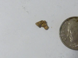 Echter Platzierer Goldnugget gesamt 0,297 Gramm, sieht aus wie Pferdekopf - Bild 1 von 2