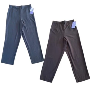 Nuevo con etiquetas Pantalón Laura Scott Pettie Para Mujer Control Abdomen Ceniza, Marrón Tallas 10P, 14P - Imagen 1 de 28