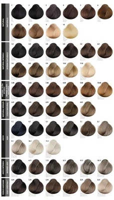 FEMMAS PROFESSIONAL FemMas Farbkarte mit echten Haarsträhnen
