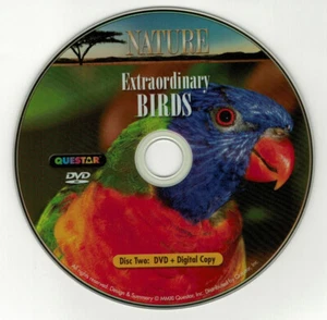 Nature: Extraordinary Birds (DVD disc) hummingbirds, parrots - Picture 1 of 1