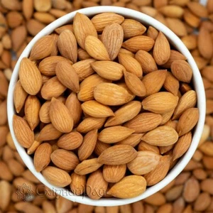Noccioli di albicocca essiccati 200 g/7 oz - Foto 1 di 3