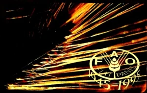 G 446 C&C 2484 NEUE MAGNETISCHE TELEFONKARTE FAO - Bild 1 von 2