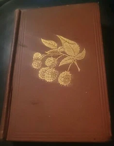Small Fruit Culturist 1897 1 Victorian Farming Illustrated HC Book - Picture 1 of 9