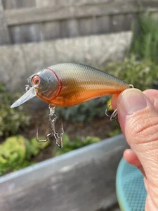 Premium Custom Crankbait SILENT 2.5 Candy Pearl Ghosty Carp - Bild 1 von 5