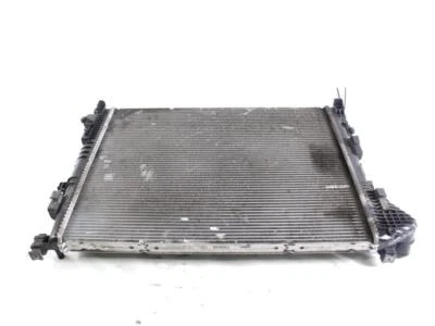 8200411166 RADIATORE ACQUA RENAULT TRAFIC 2.0 D 84KW 6M 2P (2007) RICAMBIO USATO - Immagine 1 di 4