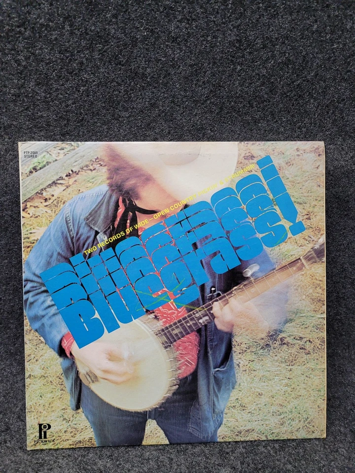 Vintage Bluegrass! 2xLP Vinyl Record Hilltop Pickwick PTP-2069 Stereo 1973 USA Foto 1 de 4