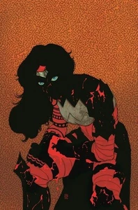 ABSOLUTE WONDER WOMAN #11 CVR A HAYDEN SHERMAN DC PREVENTA 27 DE AGOSTO - Imagen 1 de 1