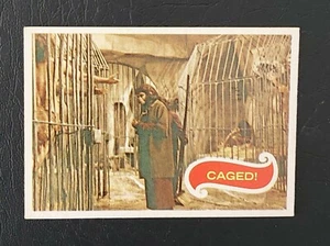 The Apes Film Canadian O-Pee-Chee 1967 #21 Caged! Card - Picture 1 of 2
