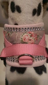 Vajilla blanda talla S, rosa, collar, chihuahua, arnés de pecho, arnés de correa - Imagen 1 de 6