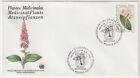 1990 UN Geneva FDC - Medicinal Plants - F.S. 0,90 Stamp