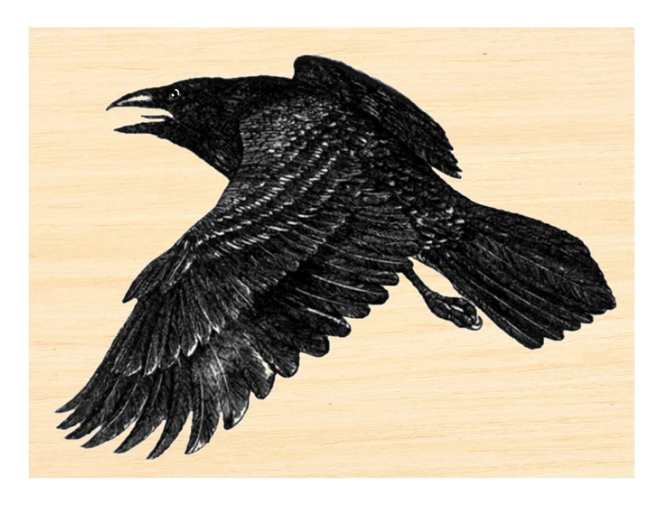 P124 Flying Crow Rubber Stamp - Image 1 of 1