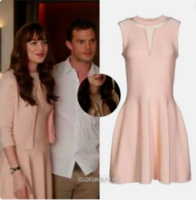 Nuevo con etiquetas Vestido Acampanado Issa Blush Rosa Transparente Ajuste Panel UK S ASO Anastasia Steele Foto 1 de 4