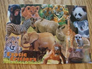 EXOTISCHE LEBEWESEN TIER Jumbo Postkarte NEUE FOTOS 5 X 7 - Bild 1 von 1