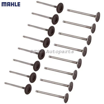 for VW Jetta Tiguan Eos CC Beetle 16x Mahle Engine Valve Set Intake&Exhaust OEM - Image 1 of 3