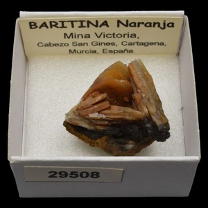 BARITINA Naranja (Mina Victoria, Cartagena, Murcia, España) #29508 / Baryte - Picture 1 of 1