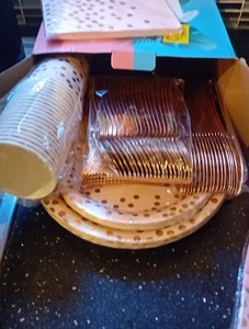 20 Piece - PINK AND ROSE GOLD - Disposable Party Set - Picture 1 of 4