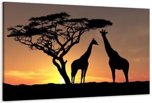 1523 C2 Afrika LEINWAND WANDBILDER BILD Savanne, Giraffen div. Größen erhältlich
