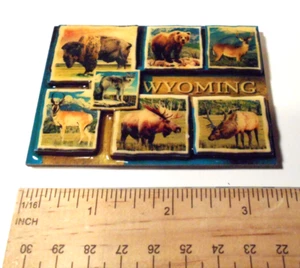 Wyoming Naturaleza Oso Alce Ciervo Lobo Turista Madera Nevera Imán De Colección - Imagen 1 de 4