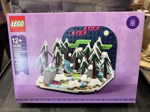 LEGO ‎40785 Northern Lights Diorama Aurora Boreal (Glow-in-the-Dark) 🎄 - Picture 1 of 2
