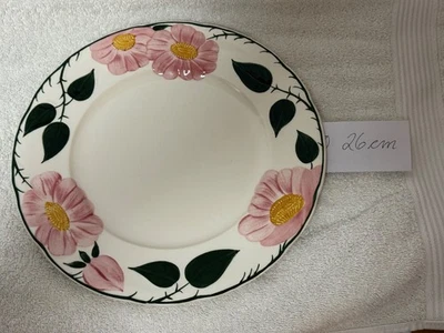 Villeroy & Boch Speiseteller Eßteller 26cm Motiv Wildrose RAR lohnt - Bild 1 von 2