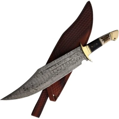 Rough Ryder Fixed Knife 14" Damascus Steel Bowie Blade Stag / Pakkawood Handle Foto 1 de 3