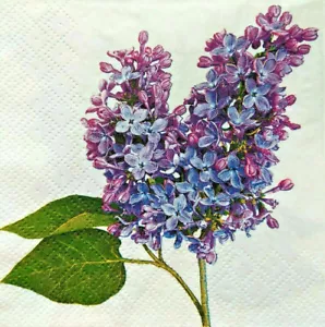 4x Stück Papier Design Servietten Decoupage Basteln Tissue Frühling Blumen Lila Flieder - Bild 1 von 2