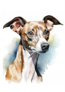 ITALIAN GREYHOUND HEAD STUDY LOVELY DOG GREETINGS NOTE CARD - Picture 1 of 1