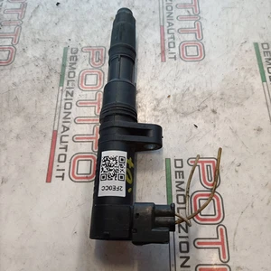 224333529R Bobina RENAULT CLIO 3a Serie 1.4 16V Ber. 5p/b/1390cc - Imagen 1 de 4