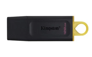 Kingston DataTraveler Exodia DTX/128GB Flash Drive USB 3.2 Gen 1 - with Protecti - Bild 1 von 10