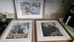 3 LIMITED EDITION FRAME & GLAZED PAUL DOYLE DOG PRINTS / TWO TYRED PLUS 2 MORE - Picture 1 of 16