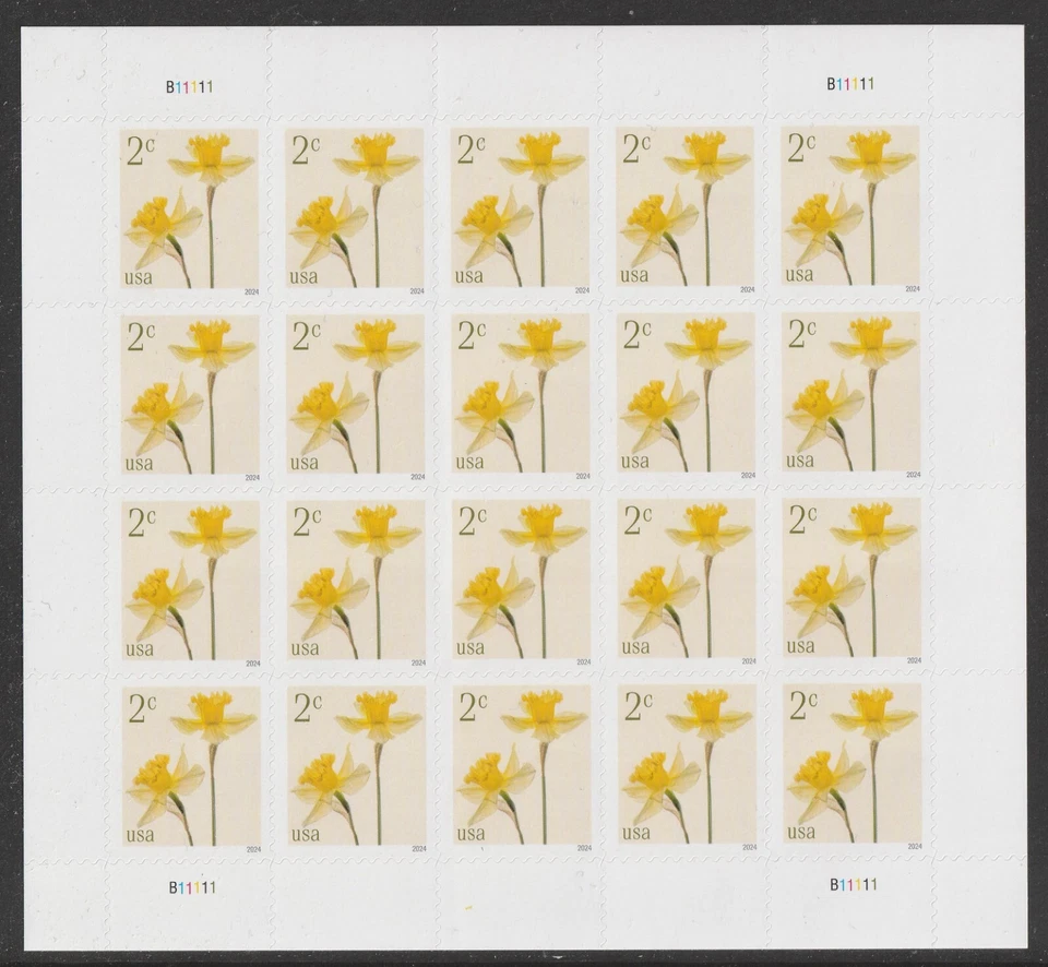 US 5898 Flowers Daffodils 2c sheet 20 MNH 2024 - Image 1 of 1