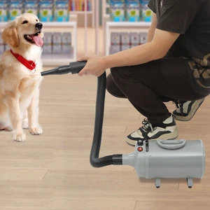 Secador de pelo 2200W para mascotas perros velocidad ajustable aseo de perros secador de pelo con 4 boquillas - Imagen 1 de 12
