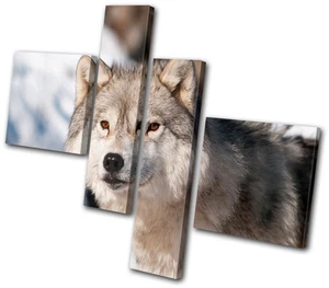 Animales Lobo Vida Silvestre MULTI LIENZO ARTE DE PARED Impresión de Imagen VA - Imagen 1 de 1