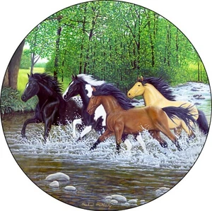 Cubierta de neumático de repuesto Horse Free Spirits River todos los tamaños disponibles - opción de cámara de respaldo - Imagen 1 de 5